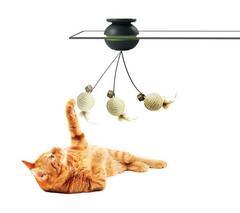Juguete magnético para gato Sway