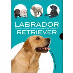 Labrador Retriever Javier Villahizán Pérez
