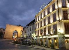 Hotel Triunfo Granada, Granada