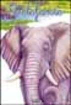 El Elefante animales Que Cuentan Ana Serna Vara