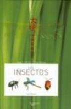 Los Insectos Yves Masiac