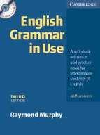 English Grammar In Use. With Answers included Cd rom 3rd Ed. Raymond